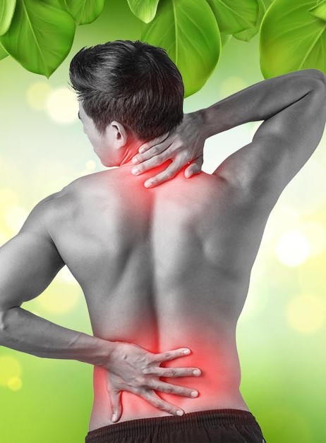 Pain Management Treatment